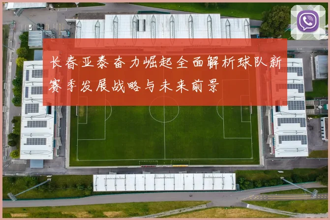 长春亚泰奋力崛起全面解析球队新赛季发展战略与未来前景