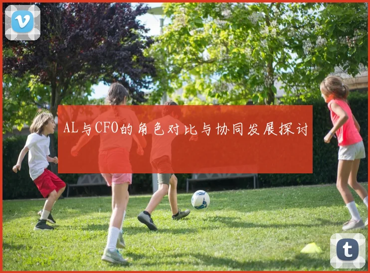 AL与CFO的角色对比与协同发展探讨