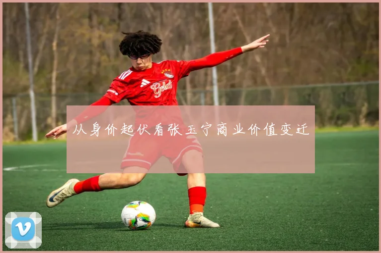 从身价起伏看张玉宁商业价值变迁