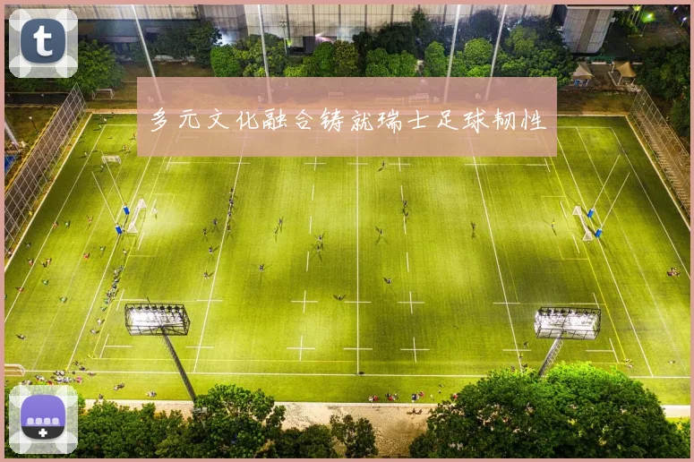 多元文化融合铸就瑞士足球韧性