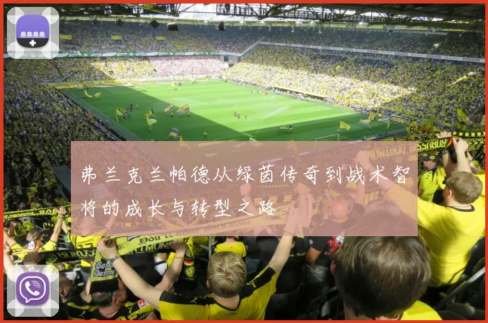 弗兰克兰帕德从绿茵传奇到战术智将的成长与转型之路