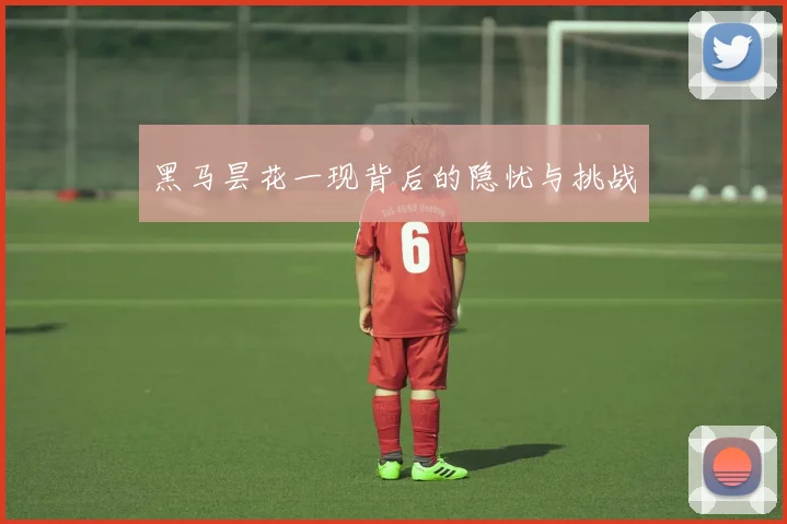 黑马昙花一现背后的隐忧与挑战