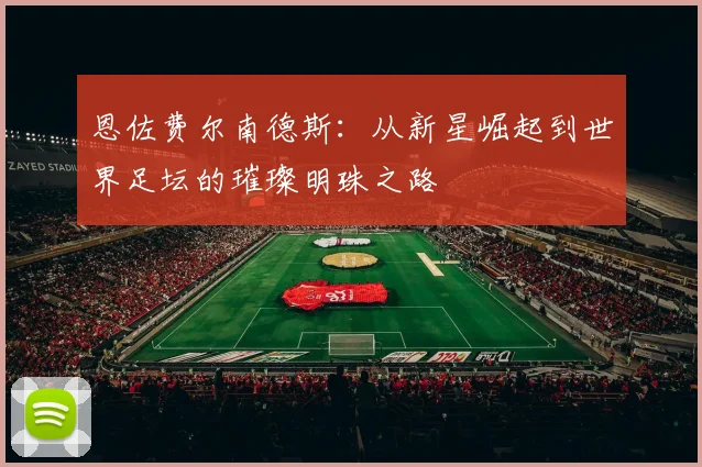 恩佐费尔南德斯：从新星崛起到世界足坛的璀璨明珠之路