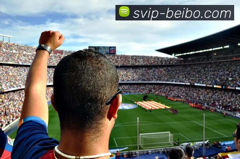 贝博平台生态图